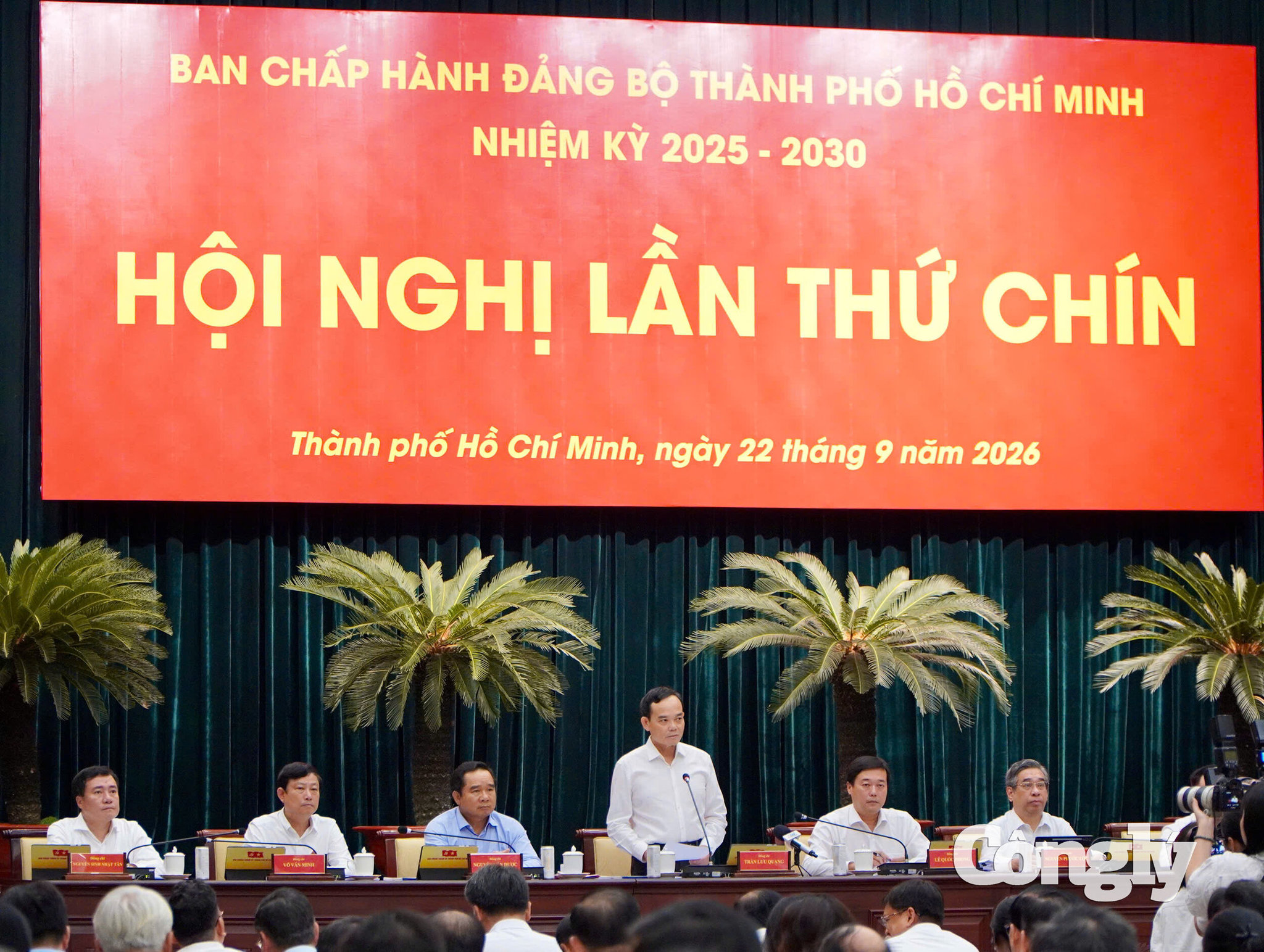 Trần Lưu Quang
