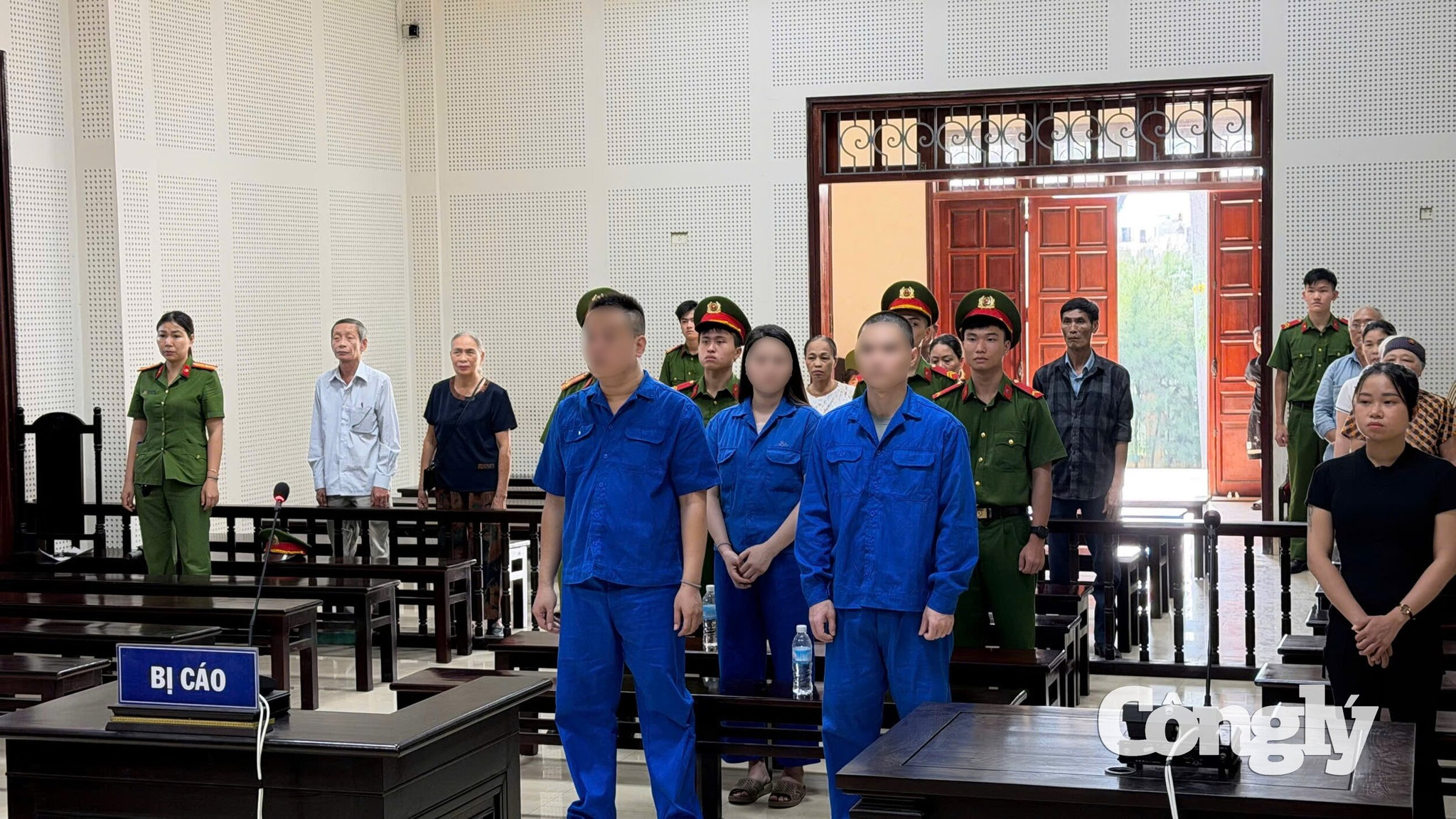  Các bị cáo tại phiên tòa xét xử.