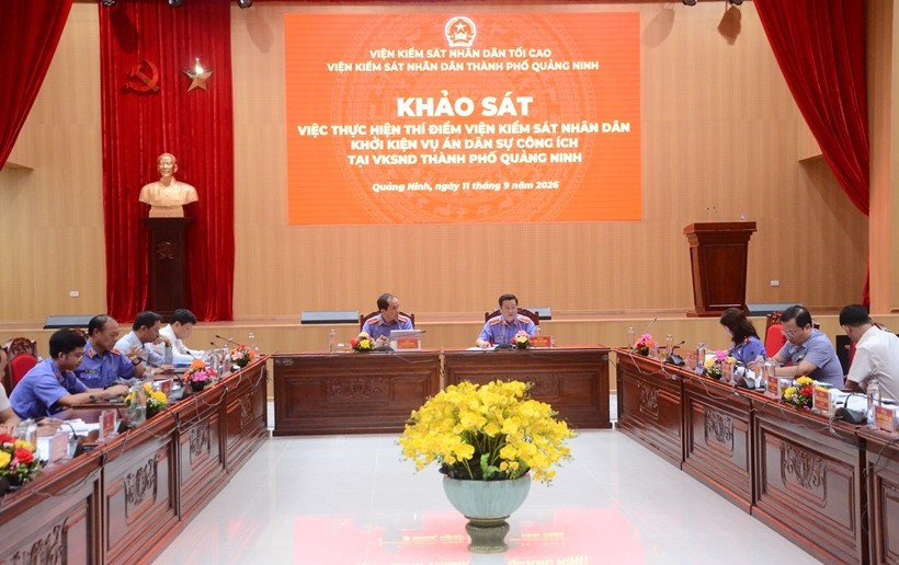 Đoàn khảo sát