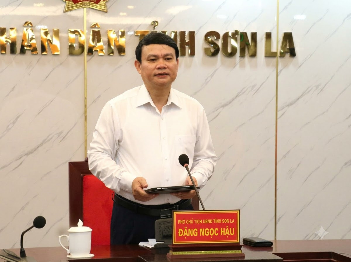 Đồng chí Phó Chủ tịch UBND tỉnh phát biểu chỉ đạo.