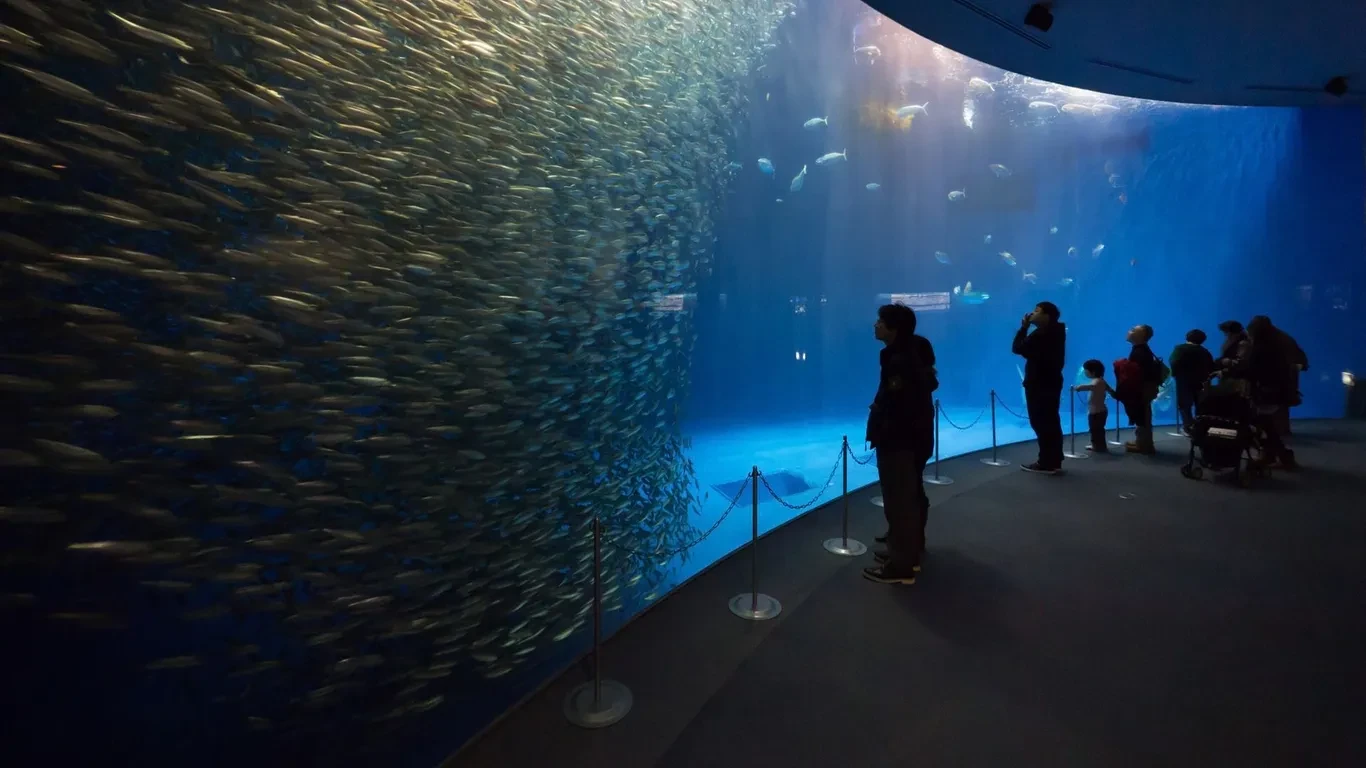 nagoya-aquarium.webp