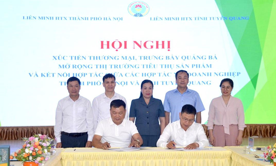 Các hợp tác xã Tuyên Quang - Hà Nội ký kết tiêu thụ sản phẩm nông sản