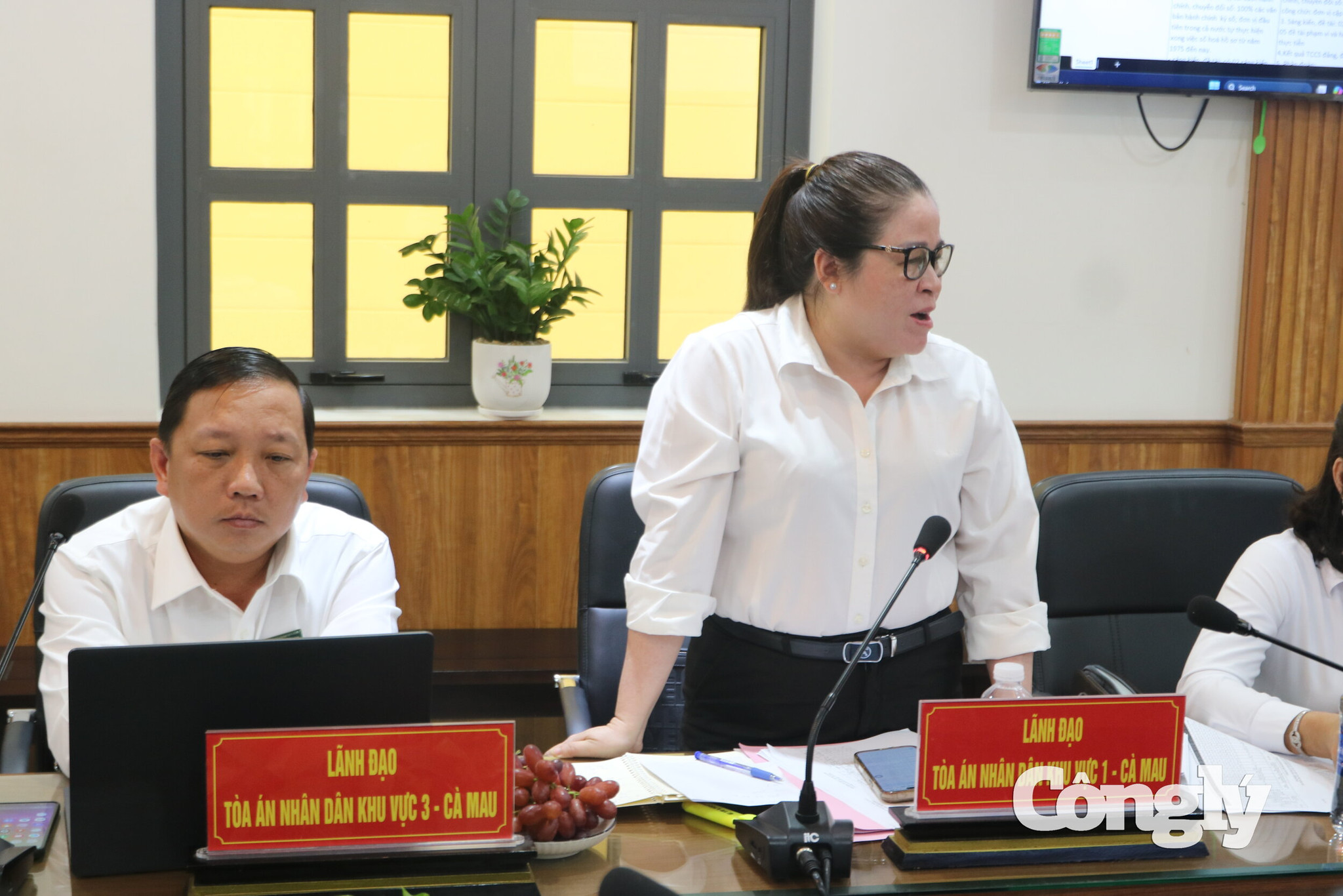 Bà Trịnh Xuân Trúc - Chánh án TAND khu vực 1 phát biểu tại hội nghị.