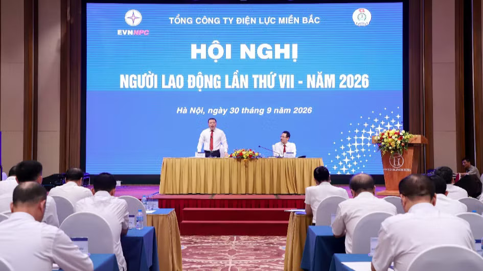 2-npc-842.avif