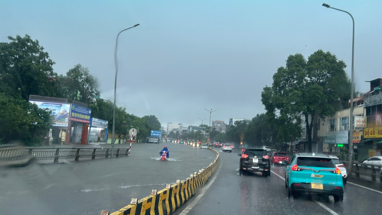 dilai-94cbba0883fb977343461d29a5bc8950.jpg