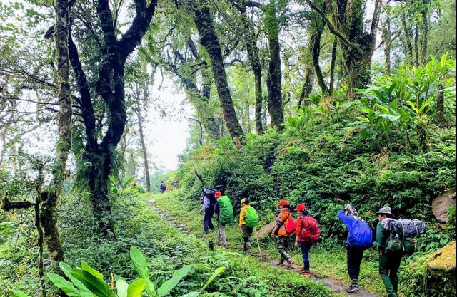 Chinh phục Pavi