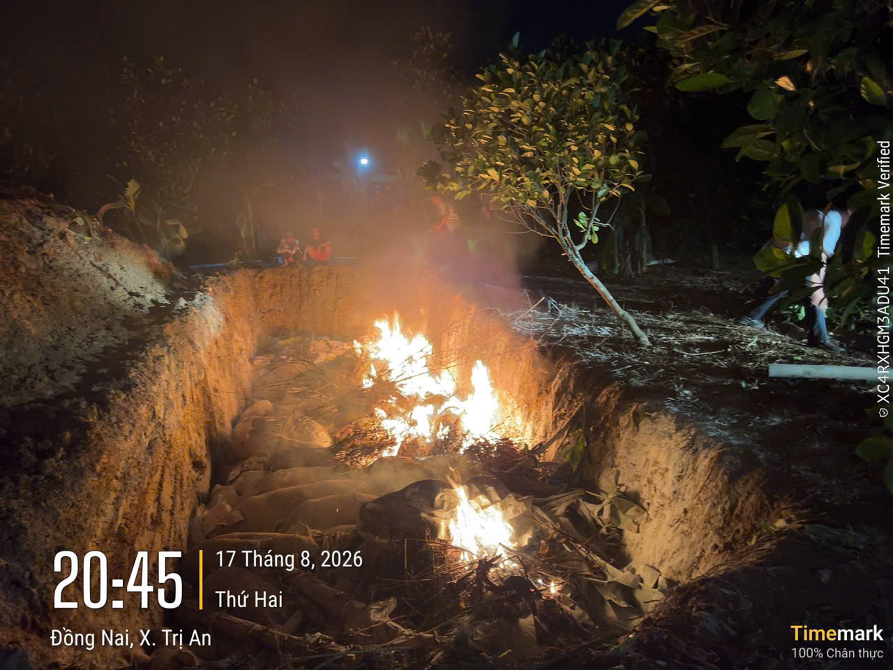 28. Tiêu hủy he