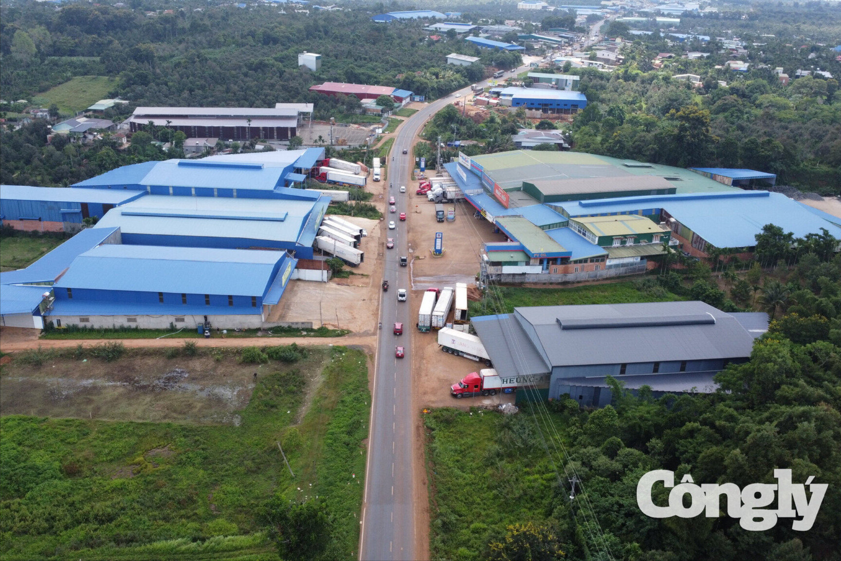 Kiểm tra 447 kho sầu riêng, chỉ 27 kho đúng quy định