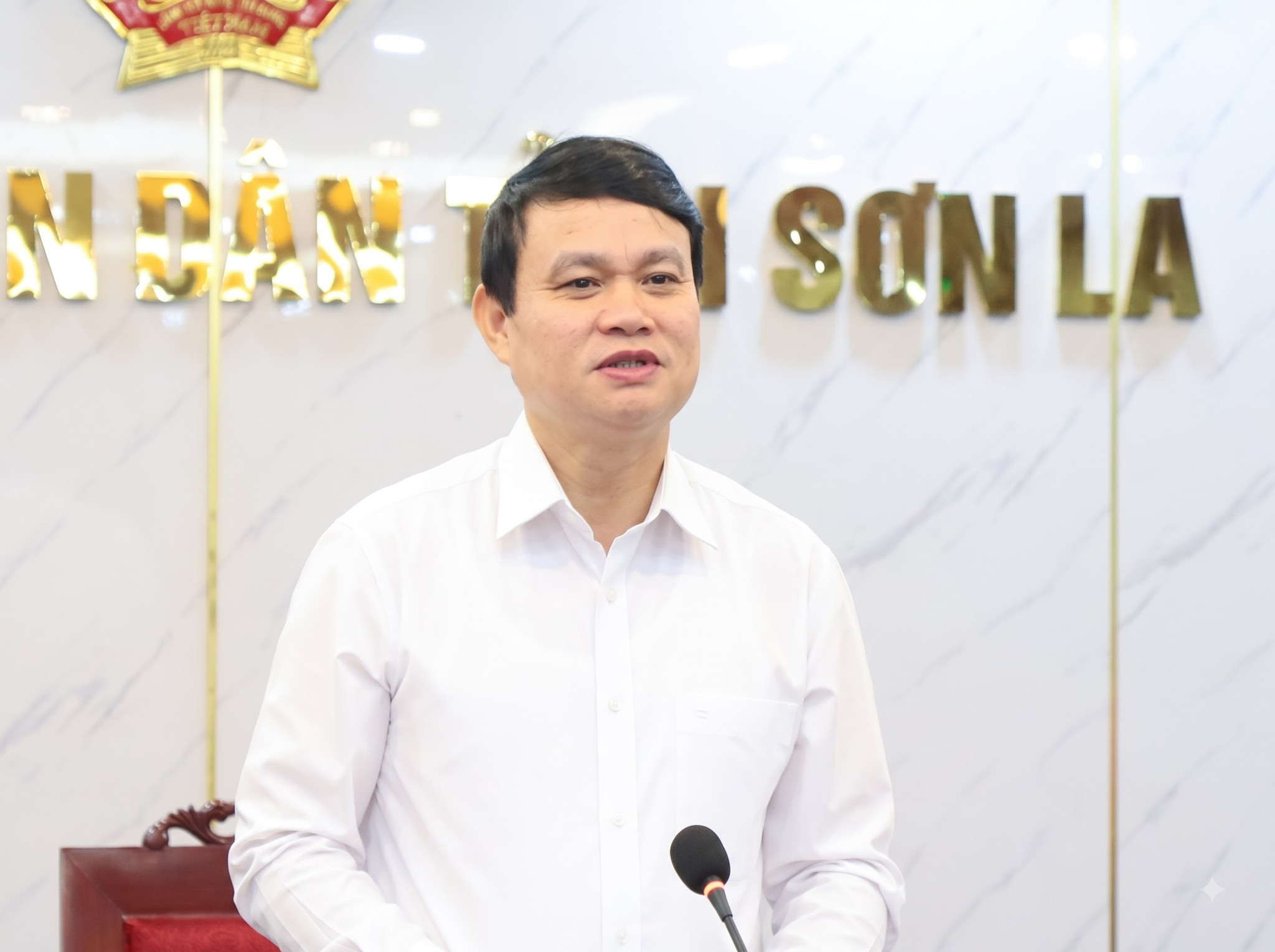 Đồng chí Đặng Ngọc Hậu, Phó Chủ tịch UBND tỉnh, phát biểu kết luận tại cuộc họp.