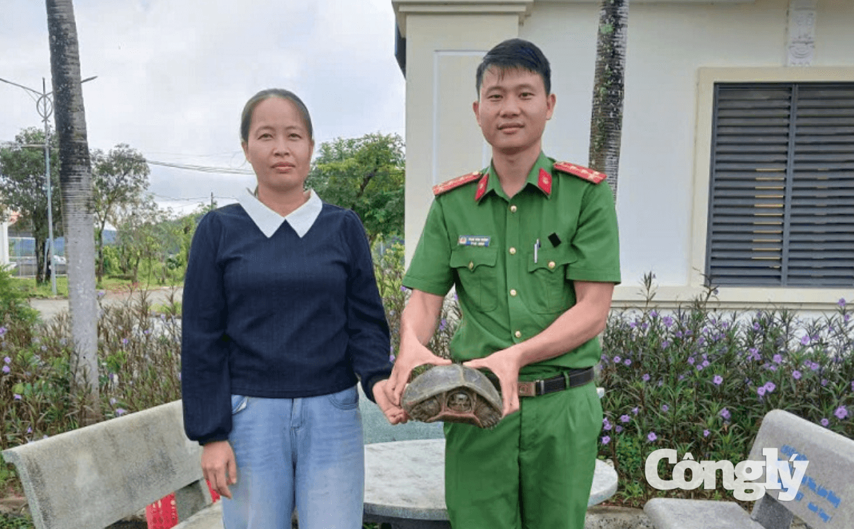 Ảnh màn hình 2026-10-09 lúc 3.42.45 CH