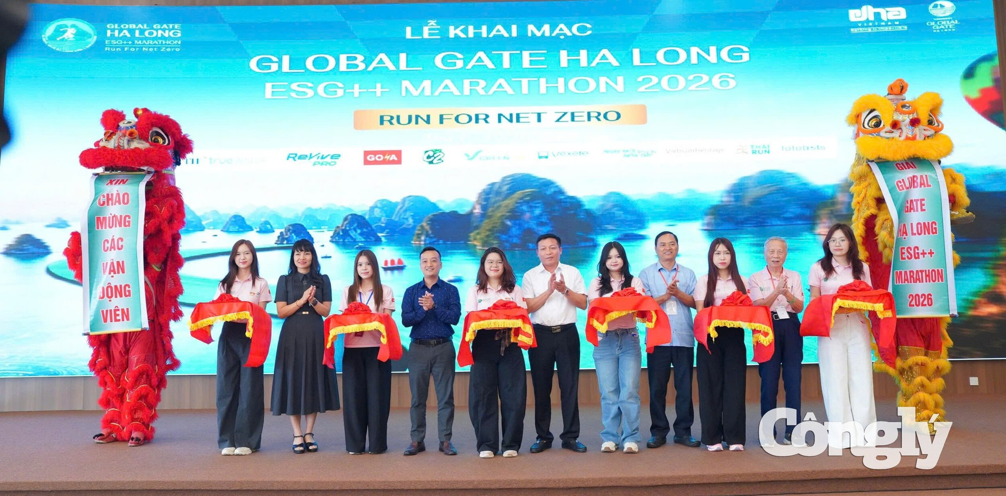 giải chạy vịnh hạ long