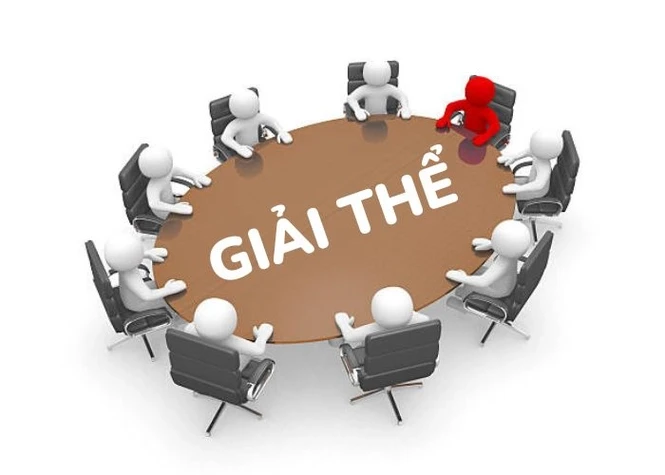giai-the-doanh-nghiep-tai-viet-nam_2711111520.webp