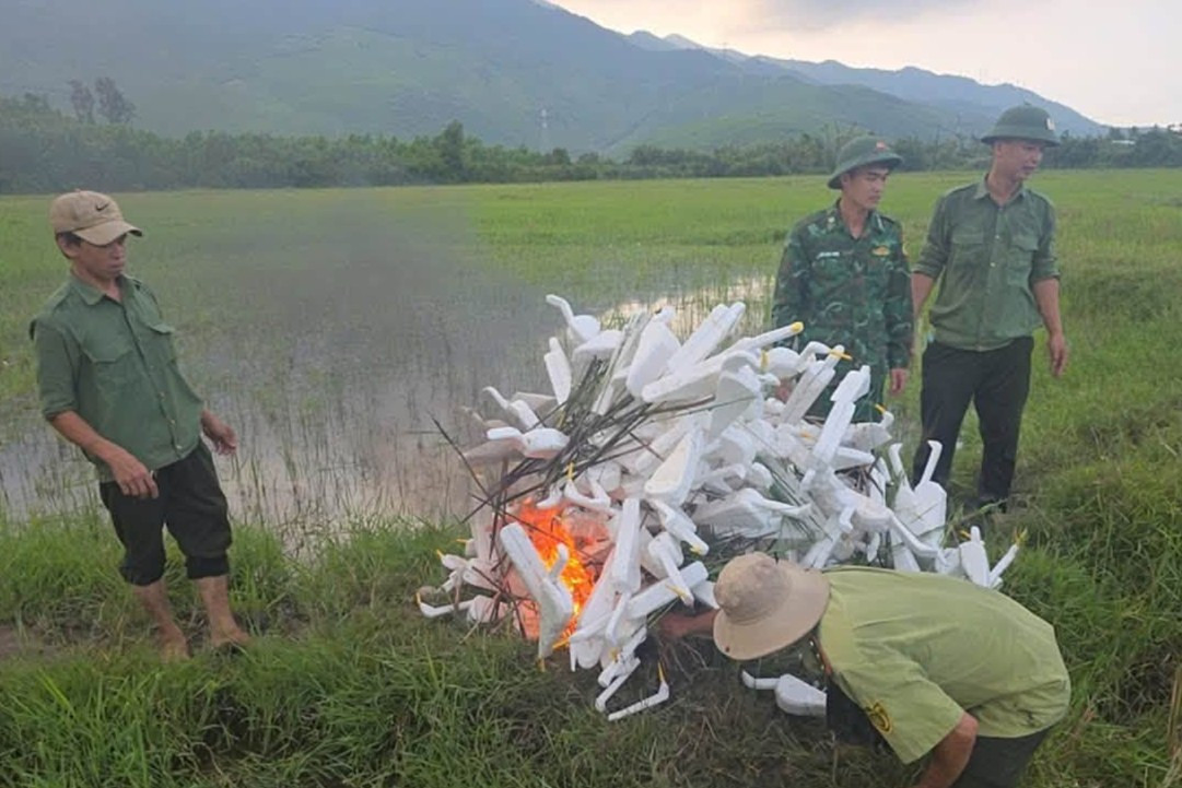 Bẫy chim trời (3)