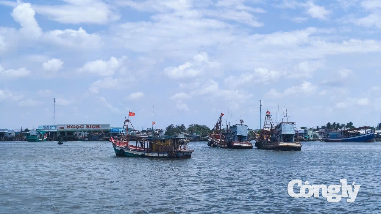 Cà Mau là địa phương có đội tàu khai thác lớn, với hơn 5.100 tàu cá đăng ký