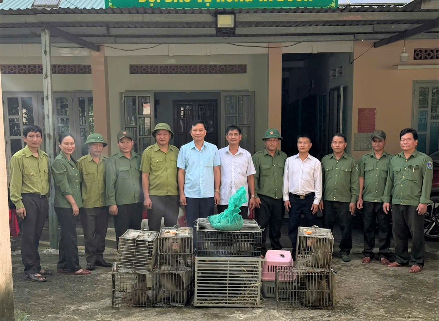 vuon-quoc-gia.jpg