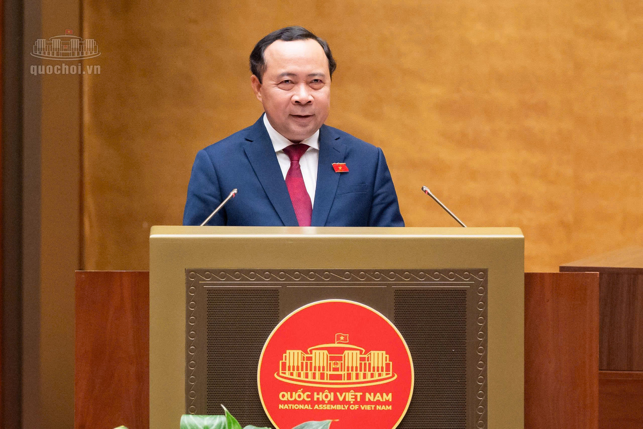 Luật Bưu chính