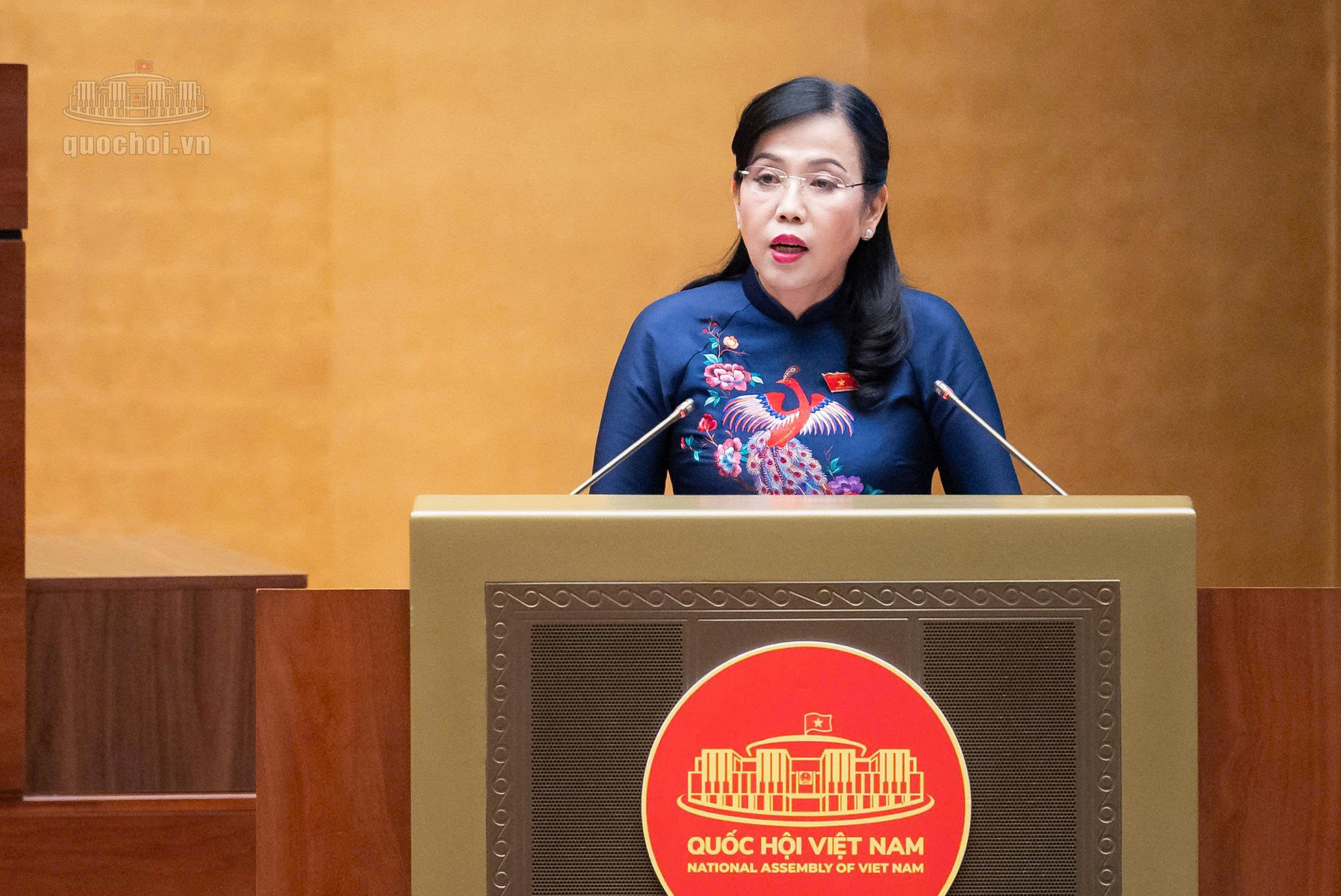 nguyen-thanh-hai(1)-5b4cf73b00dc79618ea48d69ca9b97c8.jpg