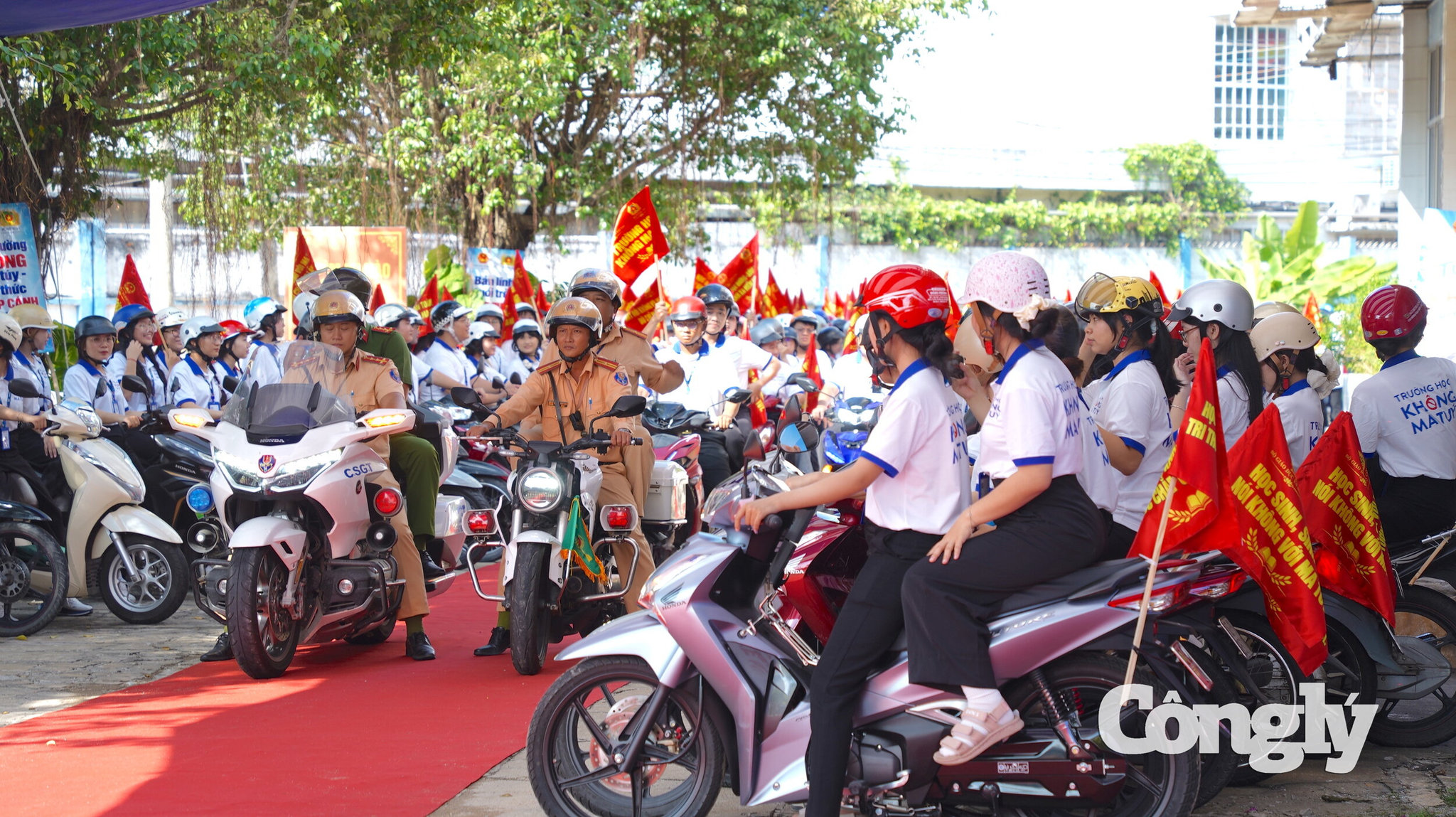 dsc07447.jpg