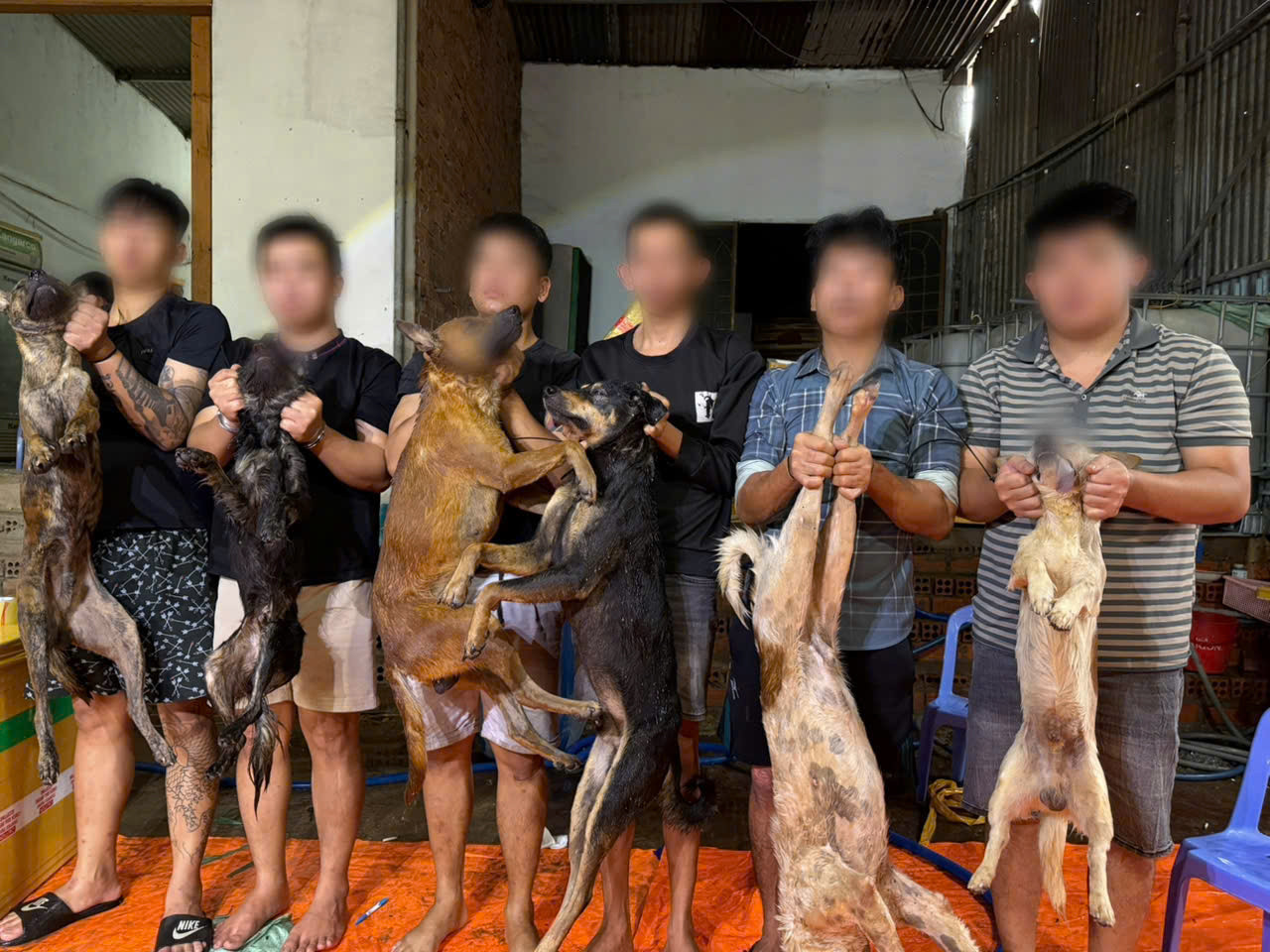 Các đối tượng trộm chó. (Ảnh: Công an cung cấp)