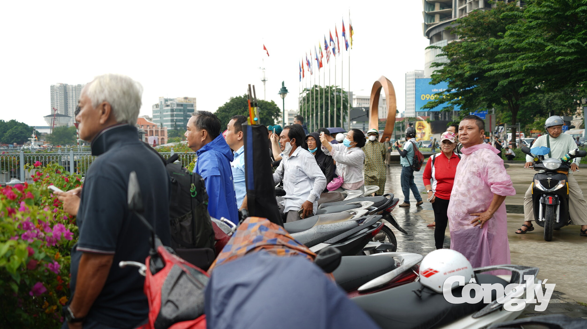 dsc07517.jpg