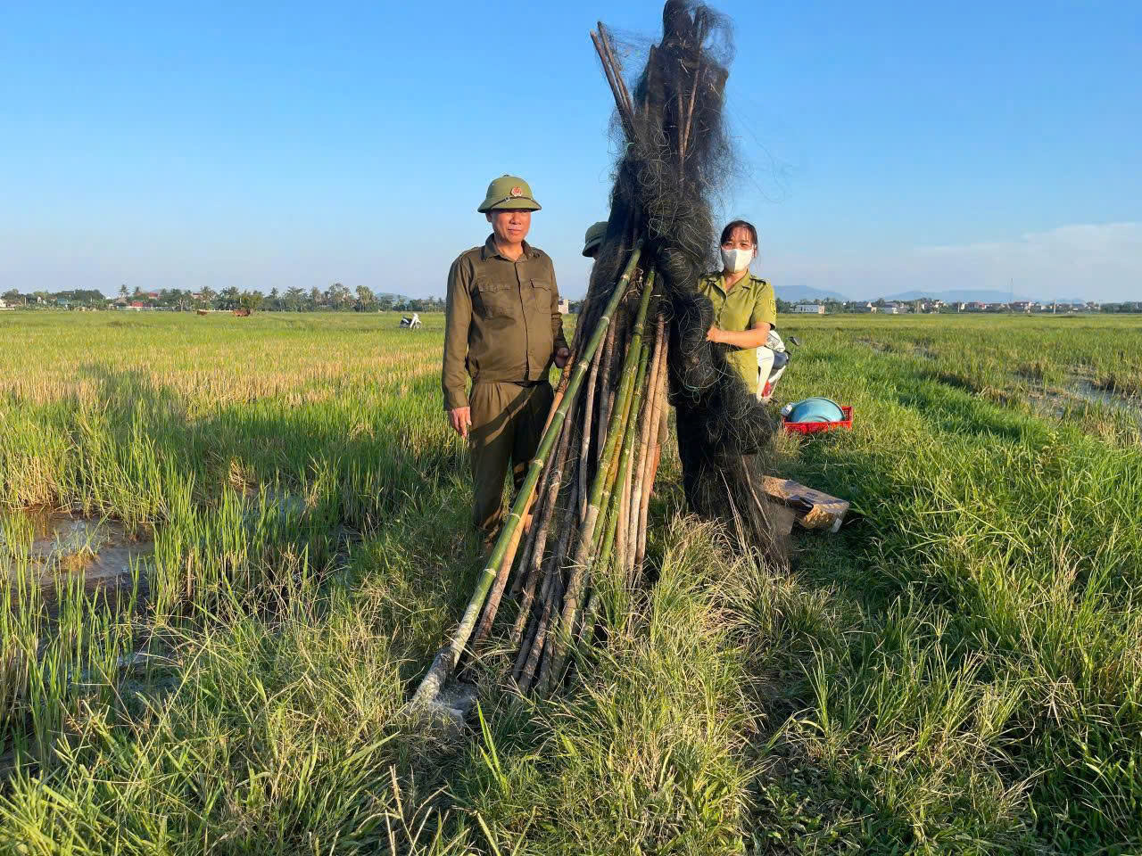 động vật hoang dã