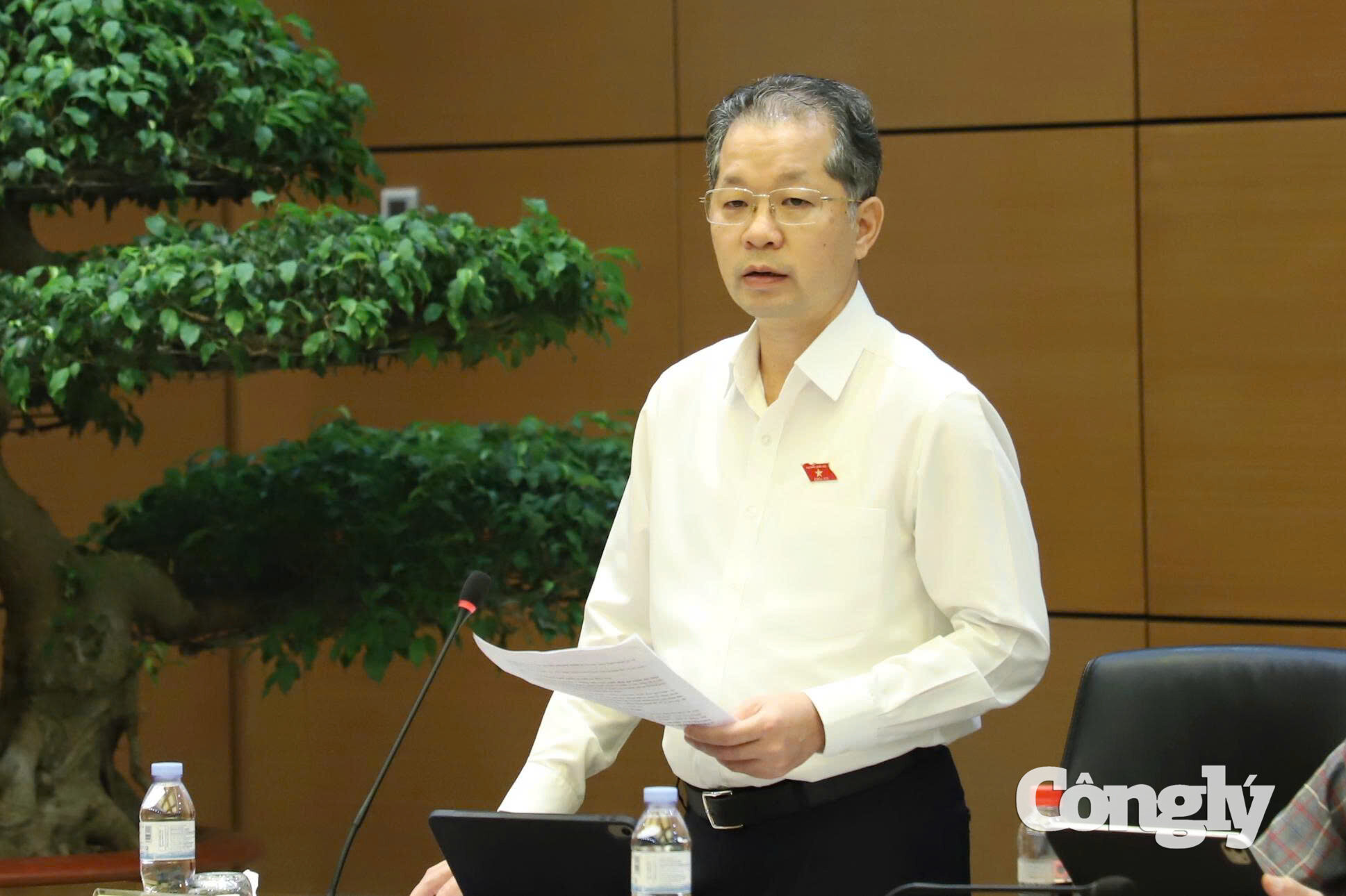 chan-an-nguyen-van-quang.jpg