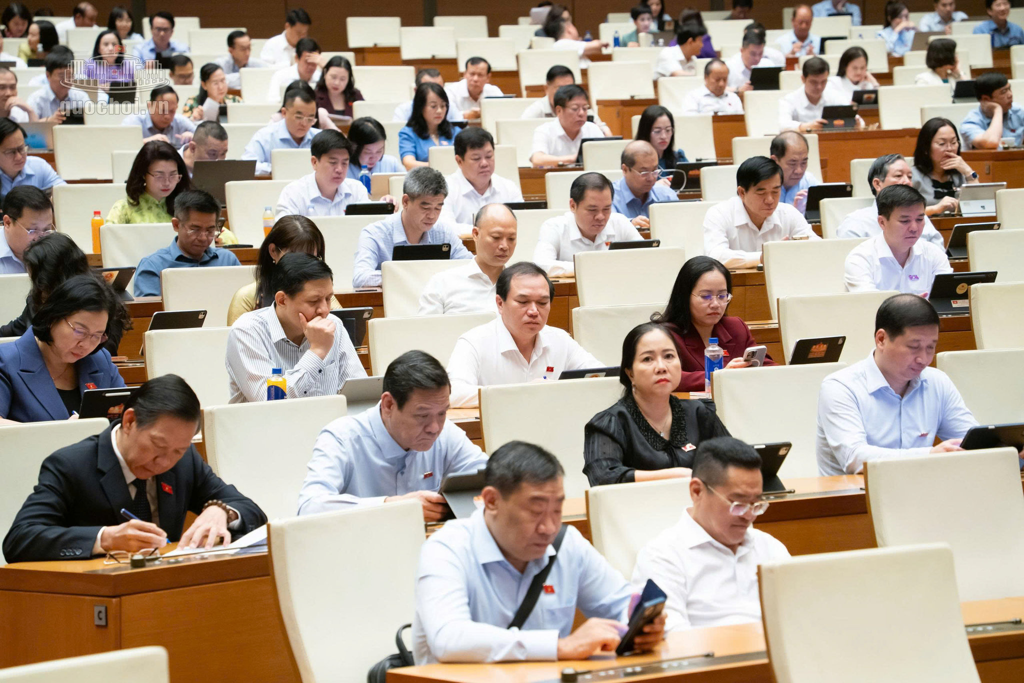 dai-bieu-5980ac832687cb6e8b42df34aea1d5d2.jpg