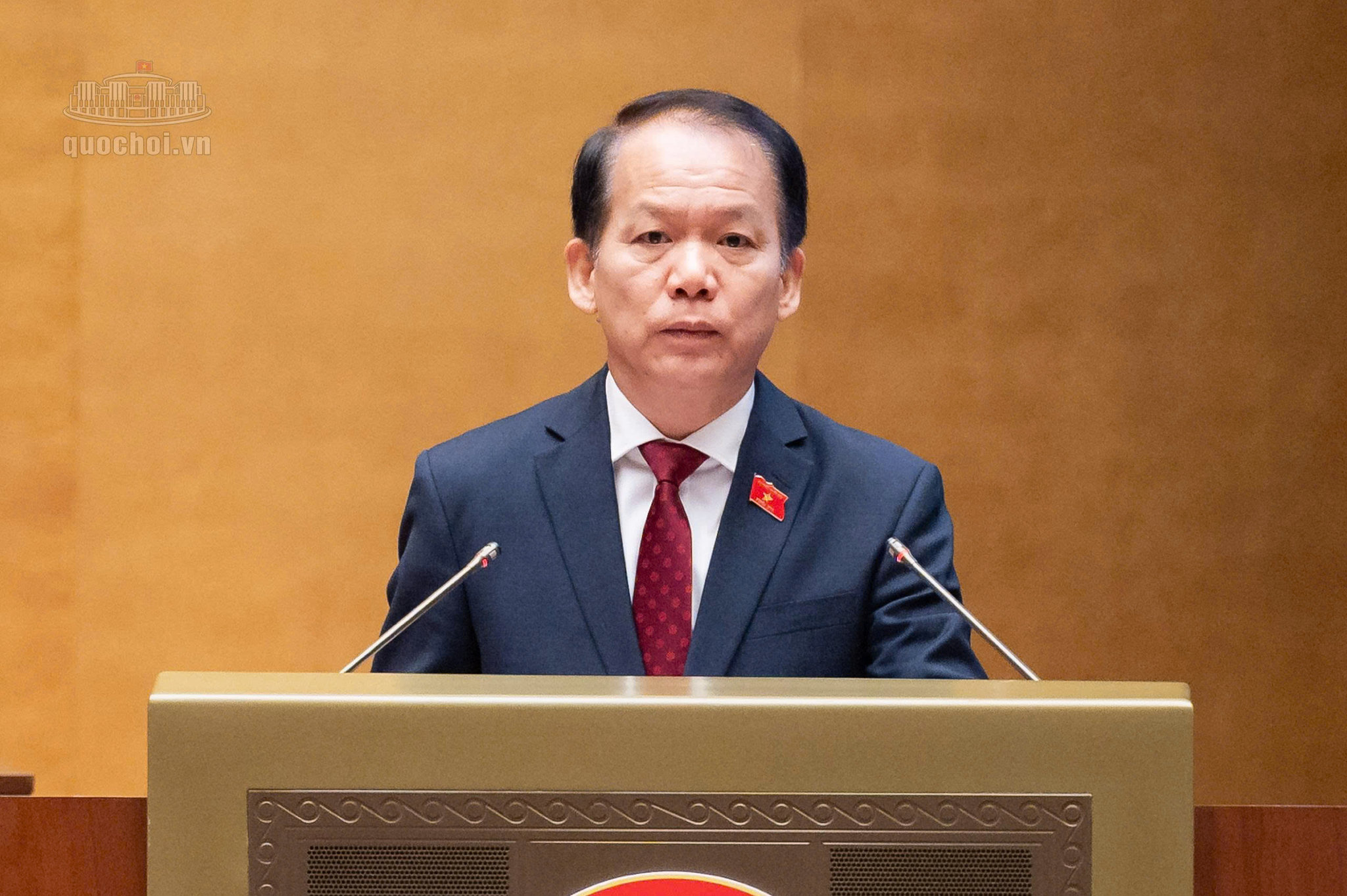 hoang-thanh-tung-f062a957b64d30b6d6fb1a401385c526.jpg