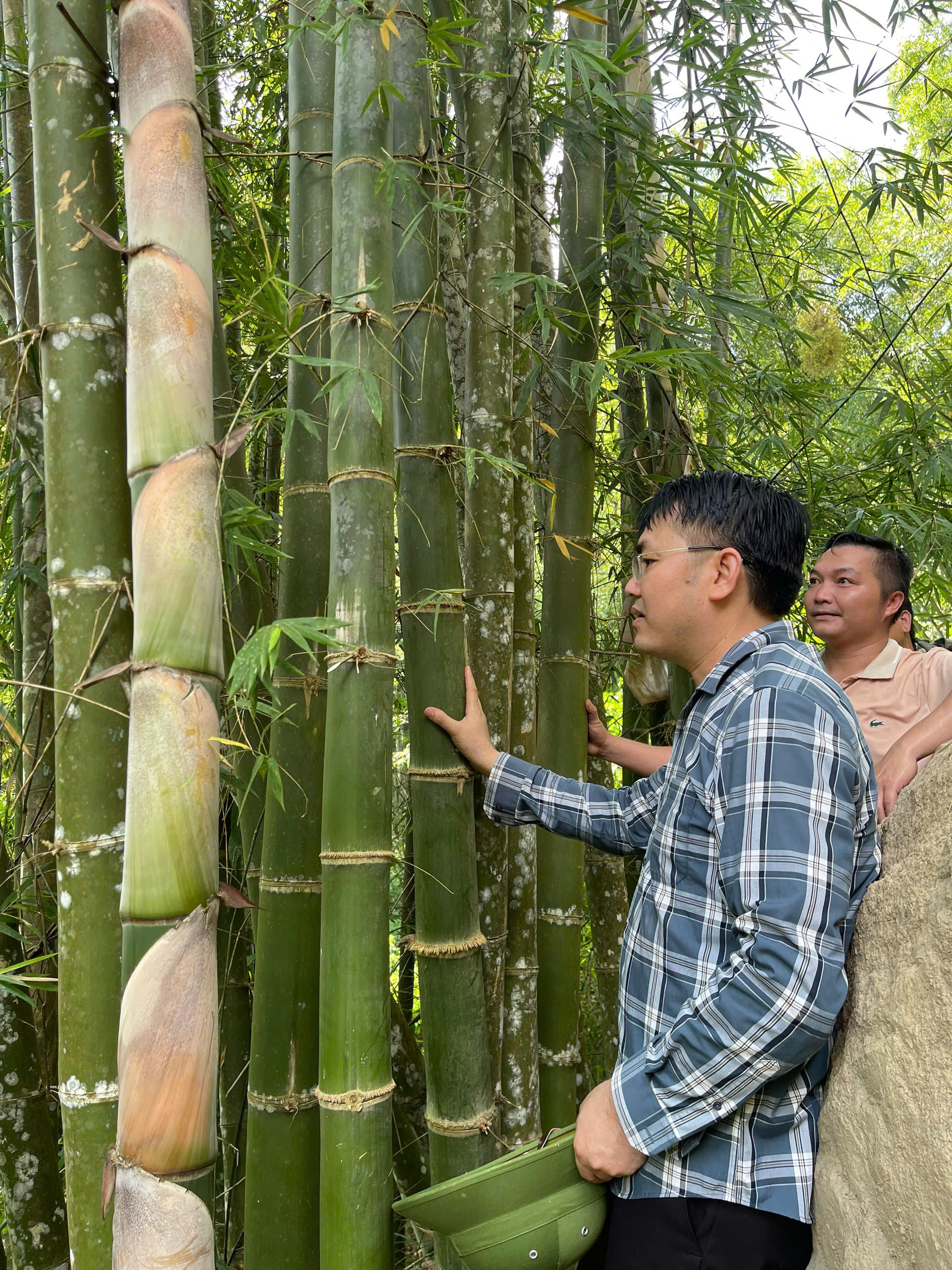 Phó Bí thư Đảng ủy, Chủ tịch UBND xã Thiên Phủ (Thanh Hóa) Phan Văn Đại trao đổi một hộ trồng luồng tại địa phương.