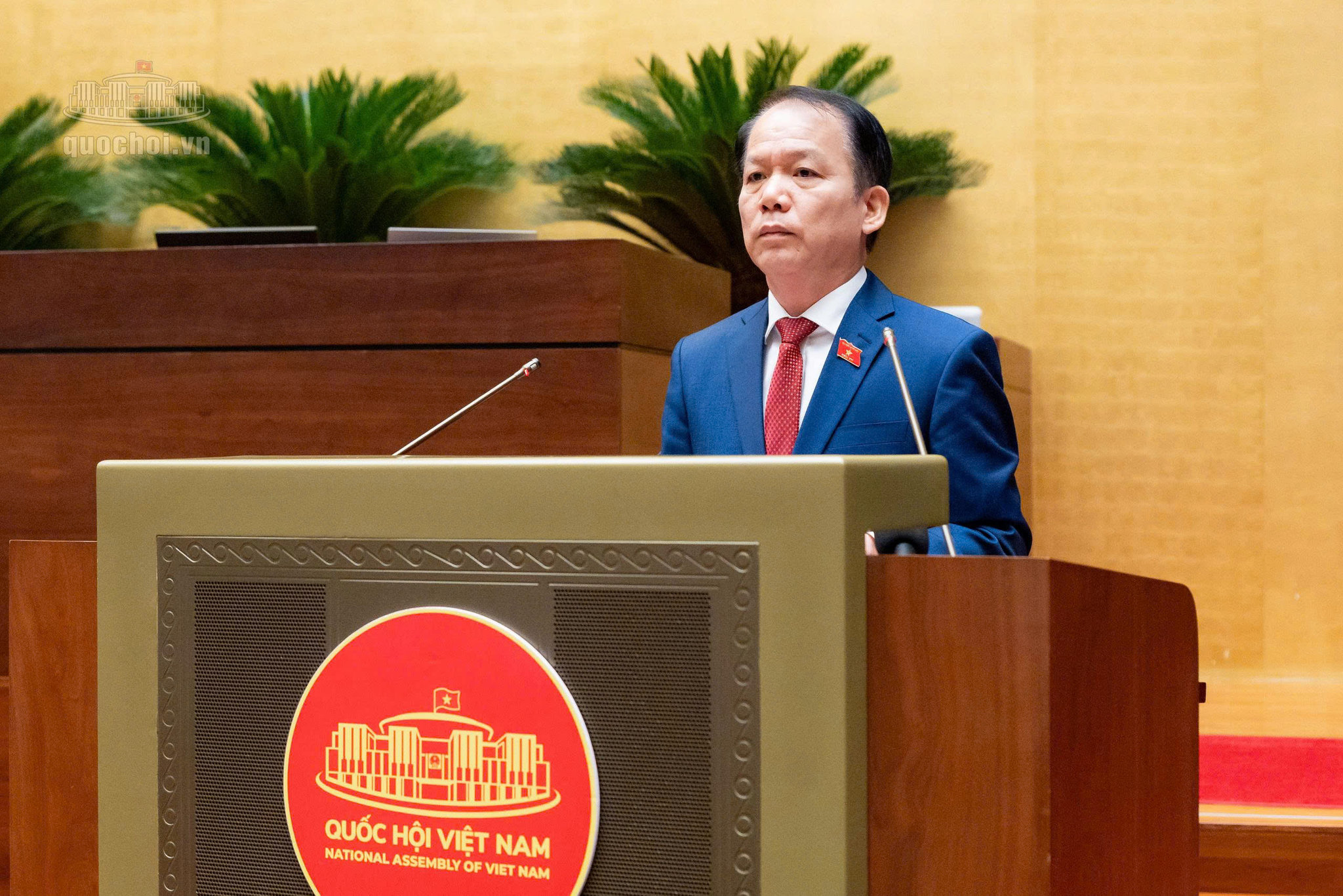 bt-hoang-thanh-tung.jpg