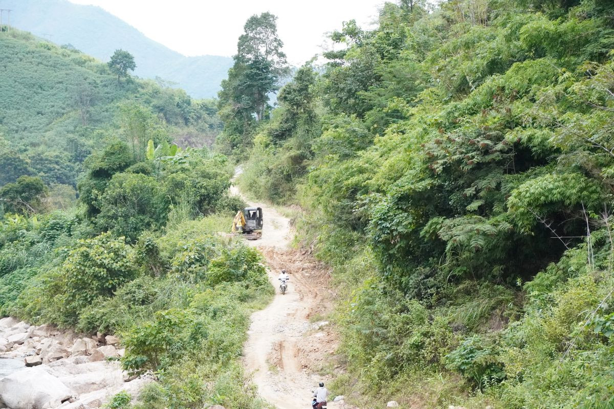 dilai-c8d352444d35fd58004f1a291db6b572.jpg