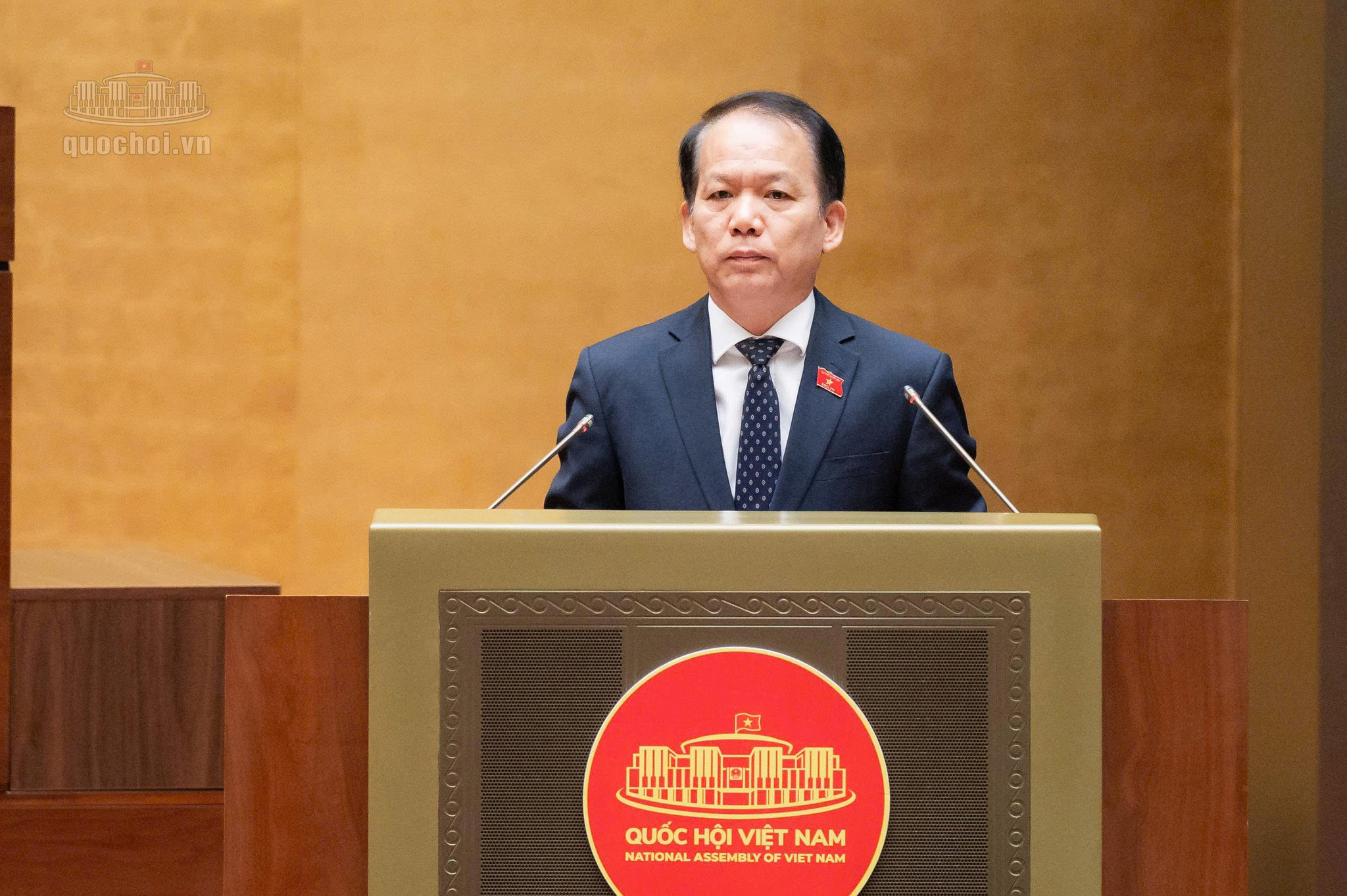 bt-hoang-thanh-tung.jpg