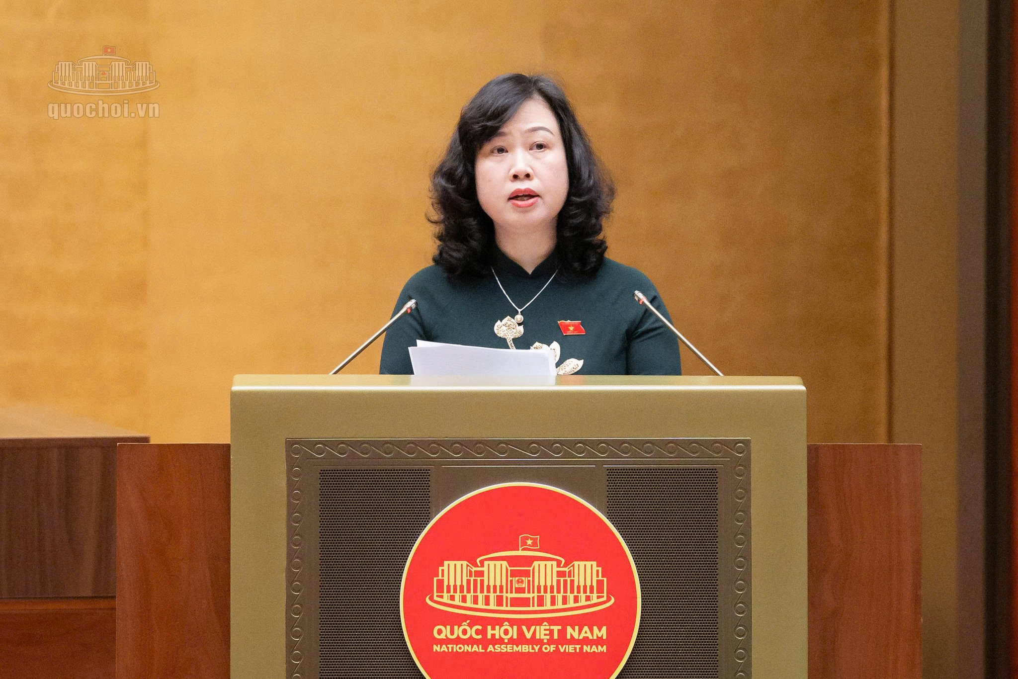 dao-hong-lan.jpg