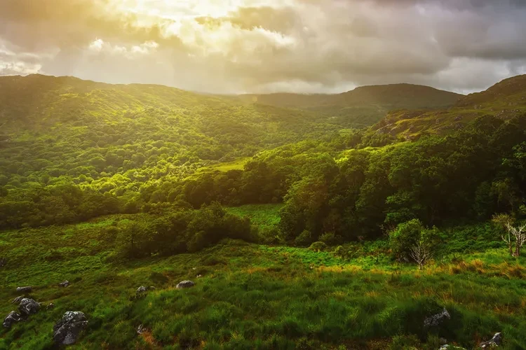 killarney-national-park-ireland-greenest1221-9727c0389a714846bdeb0f90737fdb76.webp
