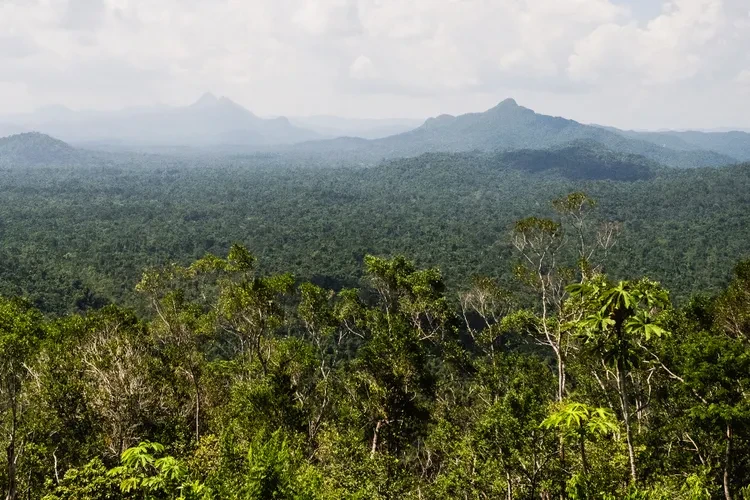 maya-mountains-belize-.webp