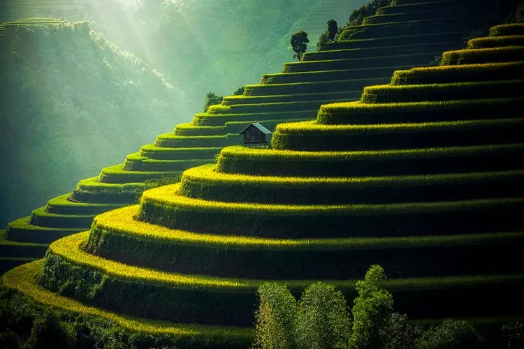 sapa-valley-vietnam-greenest1221-149b8b5dd4e342708978b4620c01f26f.webp