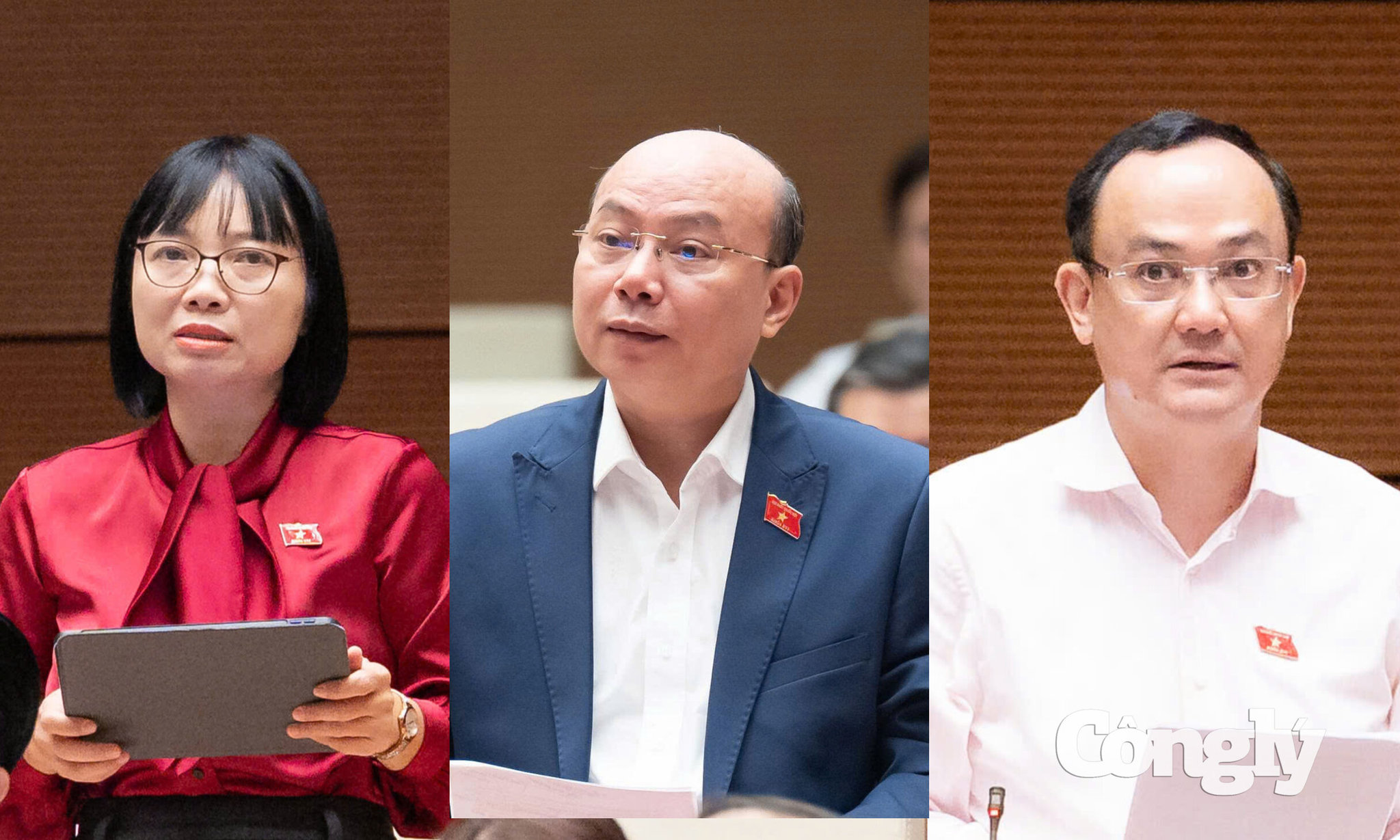 cac-dai-bieu-thao-luan.jpg