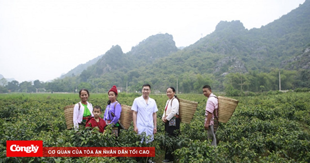 Lương y Hoàng Văn Tuấn- Người mang Đông y Việt vươn tầm thế giới