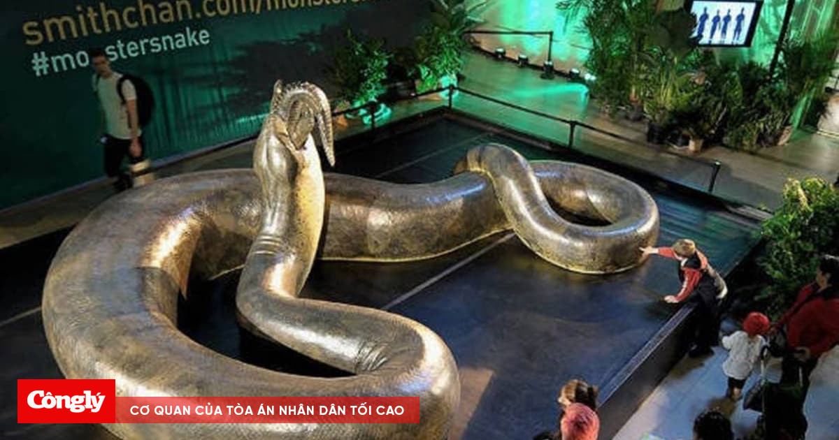 Một cơn “sốt cao” cách đây 55 triệu năm, trái đất đã tạo ra loài rắn ...