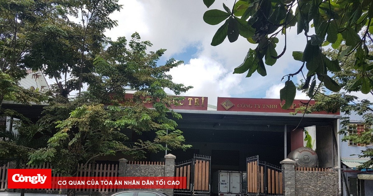 bóng đá trực tuyến 88 - Khám Phá Sự Thật Đằng Sau Những Lời Tố Cáo