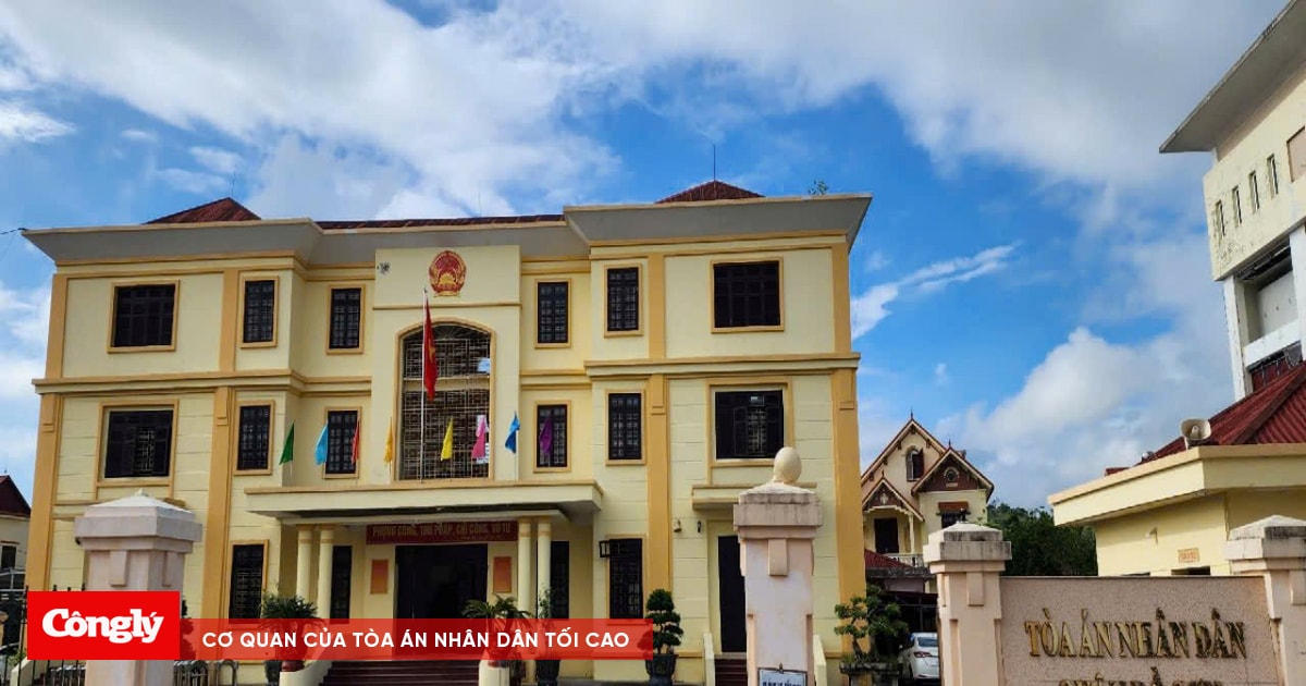 TAND quận Đồ Sơn giải quyết vụ việc đạt tỷ lệ 99,6%