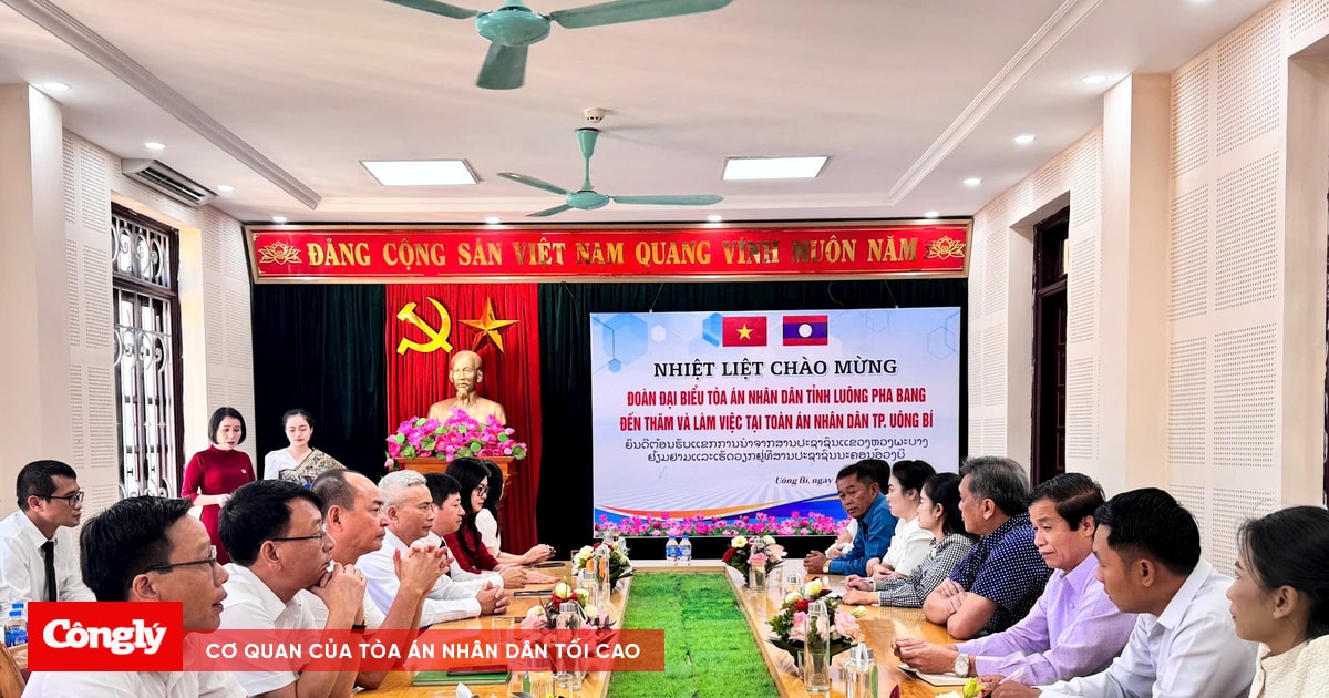 Đoàn công tác của TAND tỉnh Luông Pha Bang (Lào) thăm, làm việc với TAND thành phố Uông Bí