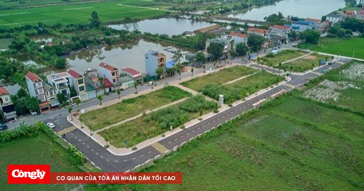 Thanh Oai (Hà Nội): Tiếp tục đấu giá 19 thửa đất tại xã Đỗ Động