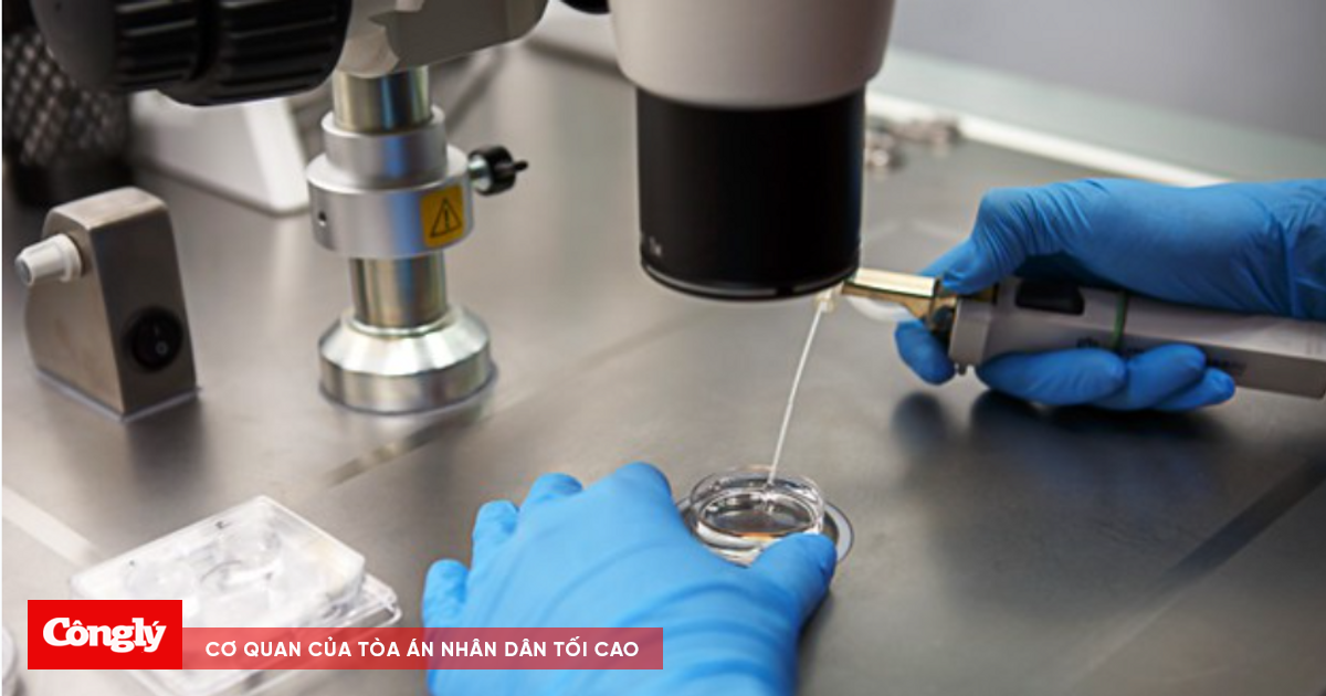 Phát hiện cơ sở IVF nhầm lẫn tinh trùng, phải làm sao?