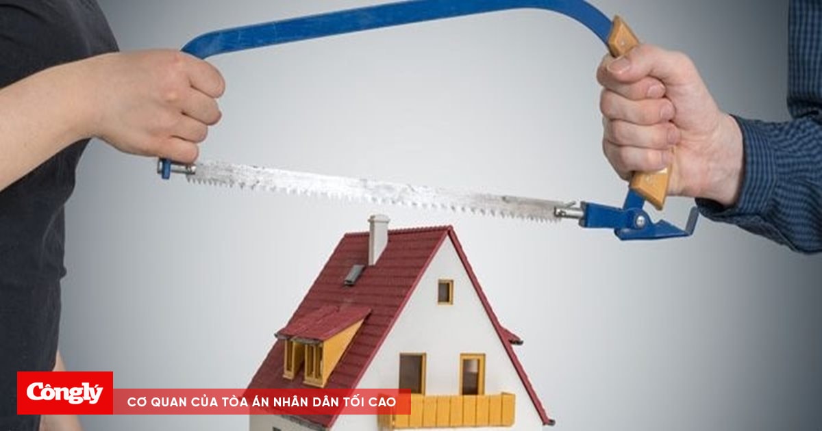 Sống chung nhưng chưa đăng ký kết hôn, chia tài sản thế nào?