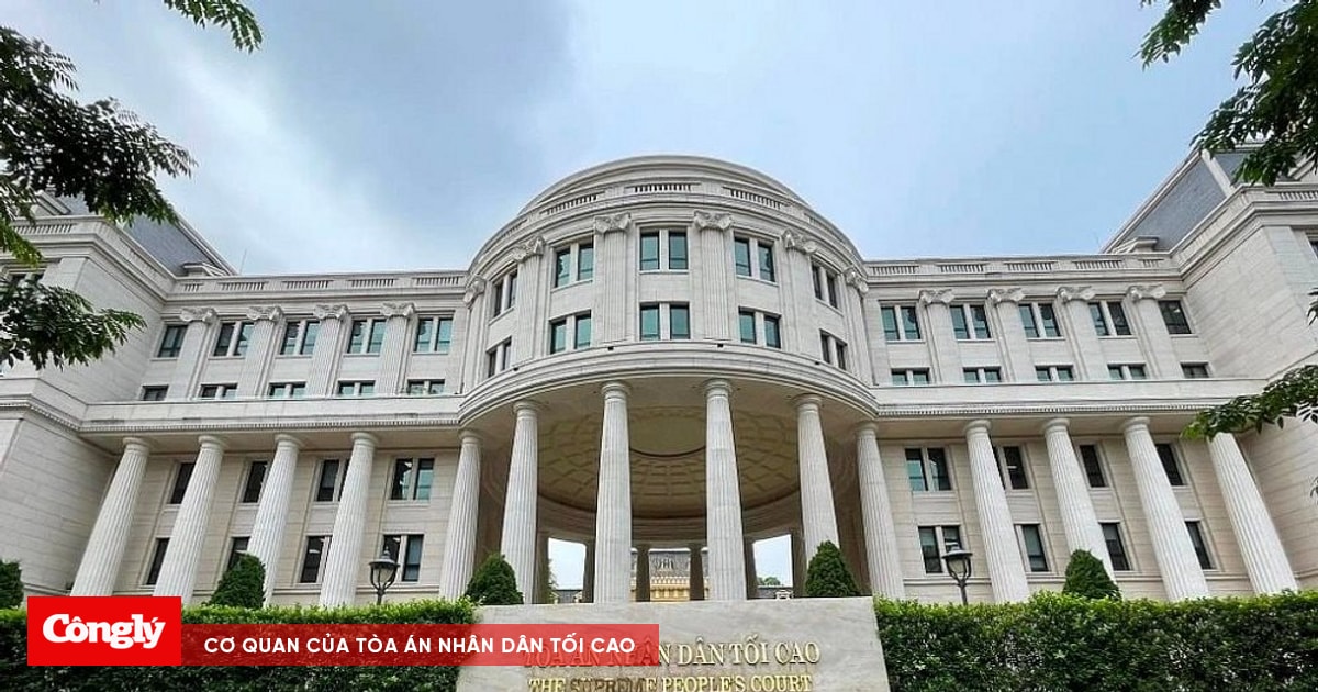 Những điểm mới cơ bản của Luật Tổ chức Tòa án nhân dân 2024 có hiệu lực từ hôm nay (01/01/2025)