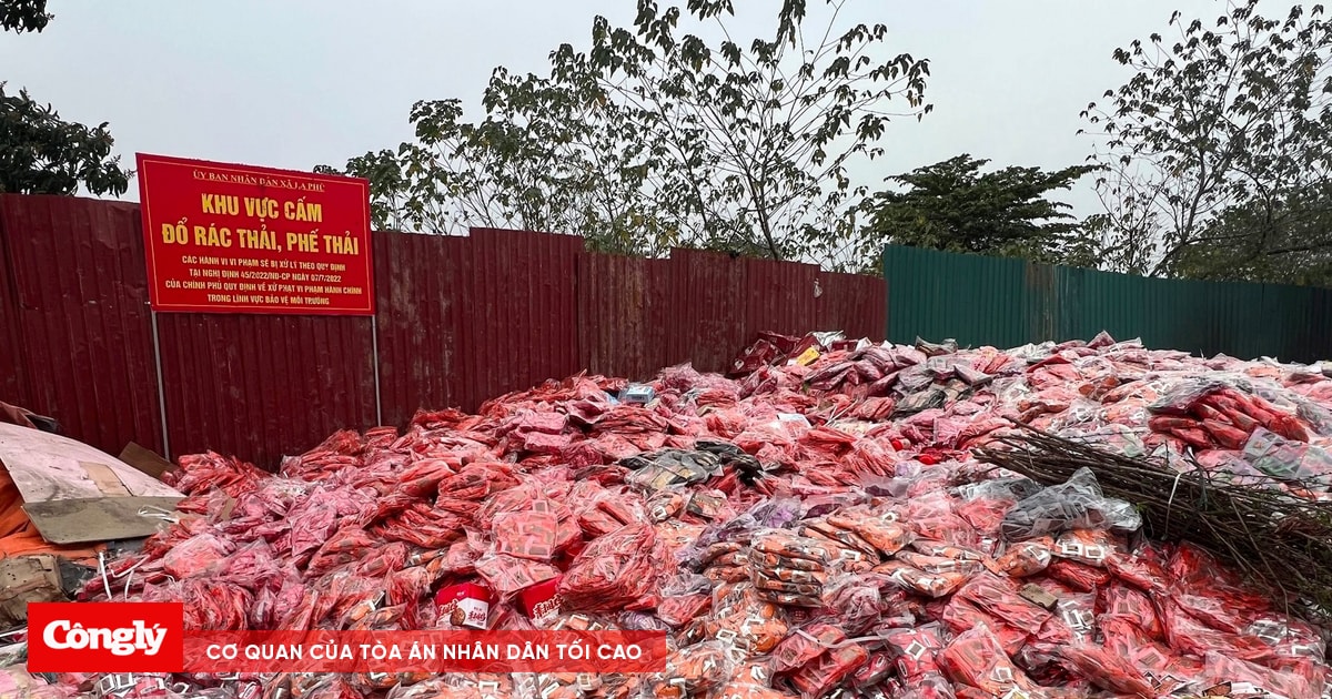 Chế tài xử phạt ra sao?