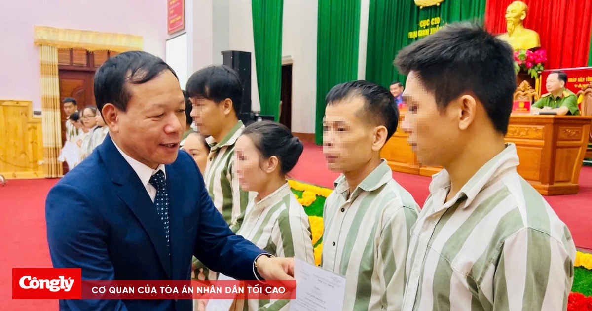 Hướng dẫn về đặc xá năm 2025 đối với người đang được tạm đình chỉ chấp hành án phạt tù và trường hợp đặc biệt