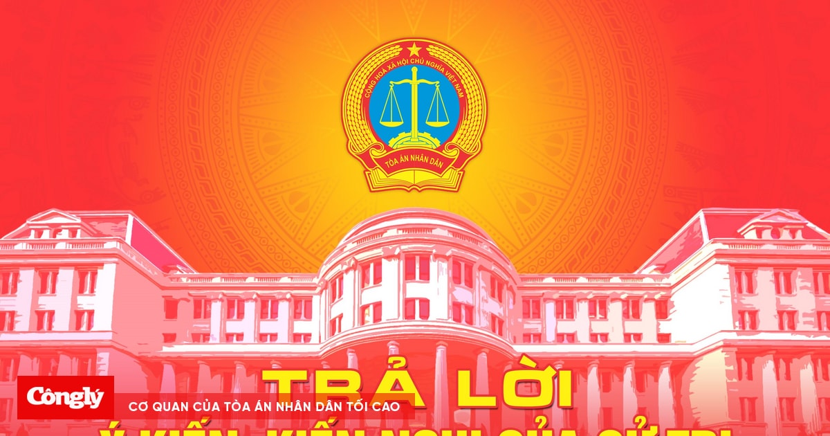 TANDTC trả lời cử tri về đầu tư xây mới, cải tạo trụ sở TAND sơ thẩm