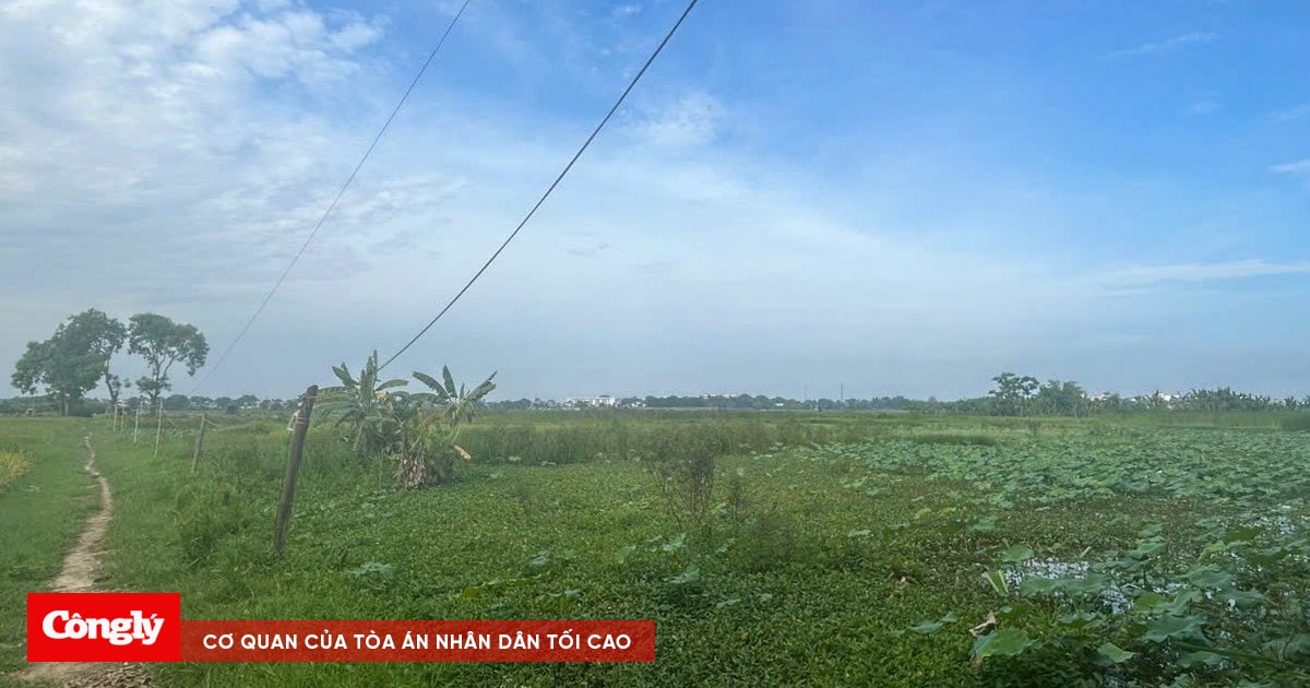 congly.vn